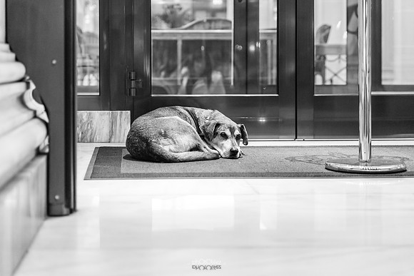 IMG_2951
