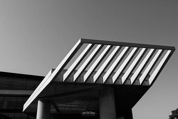 IMG_5421