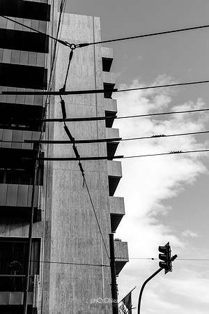 IMG_0759