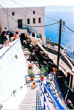 Scan 35