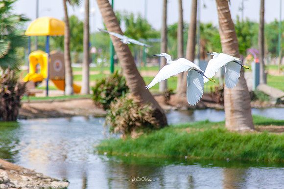 Yanbu Lakes, Saudi Arabia