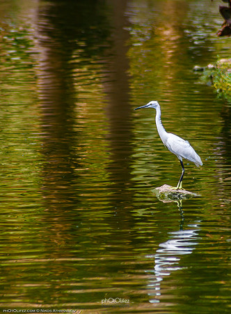 Yanbu Lakes, Saudi Arabia