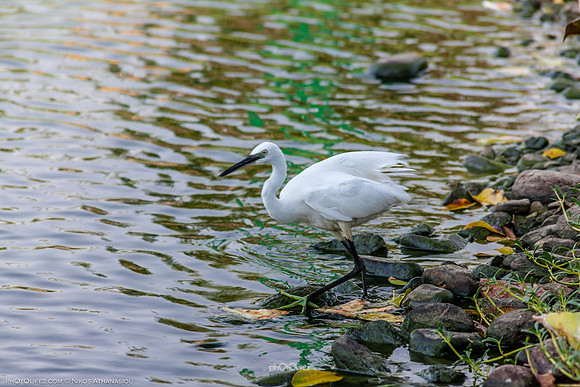Yanbu Lakes, Saudi Arabia