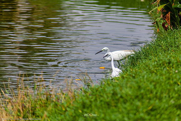 Yanbu Lakes, Saudi Arabia