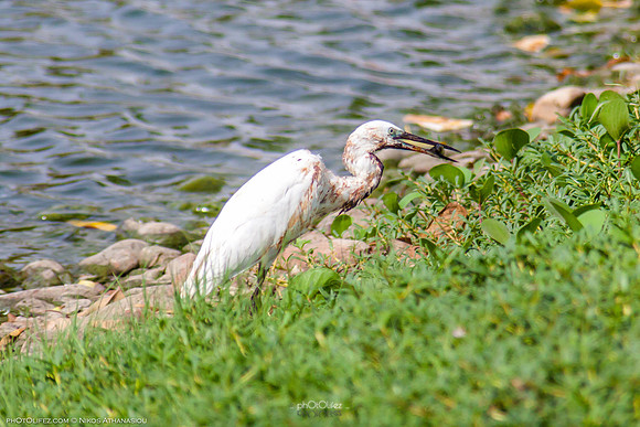 Yanbu Lakes, Saudi Arabia