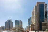 _MG_0351