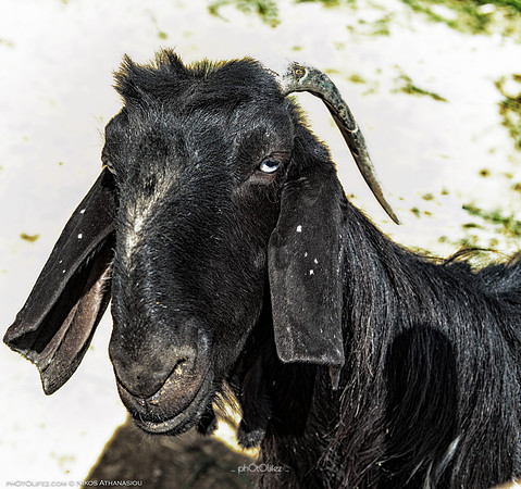 _MG_0216-Edit