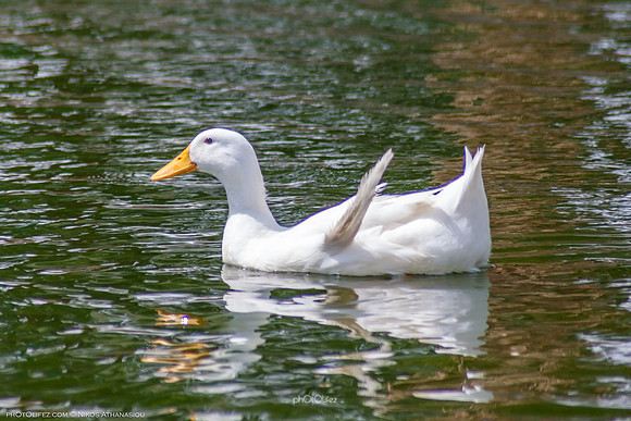 Yanbu Lakes, Saudi Arabia