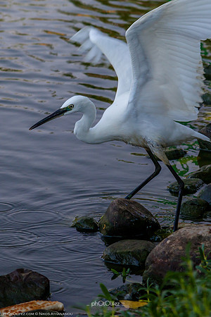 Yanbu Lakes, Saudi Arabia