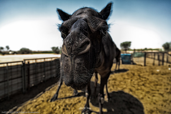 _MG_0323-Edit