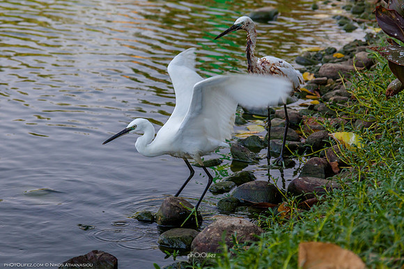 Yanbu Lakes, Saudi Arabia