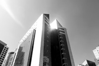 _MG_0349
