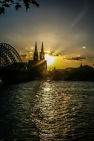 Cologne