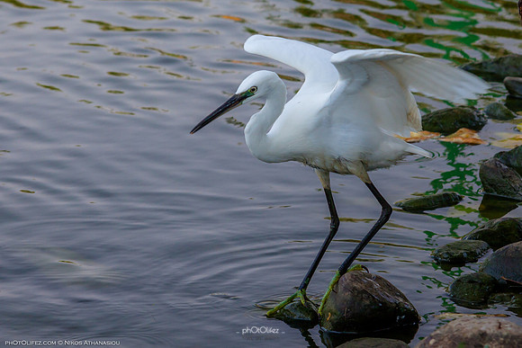 Yanbu Lakes, Saudi Arabia