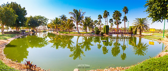 IMG_0216-Pano