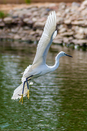 Yanbu Lakes, Saudi Arabia