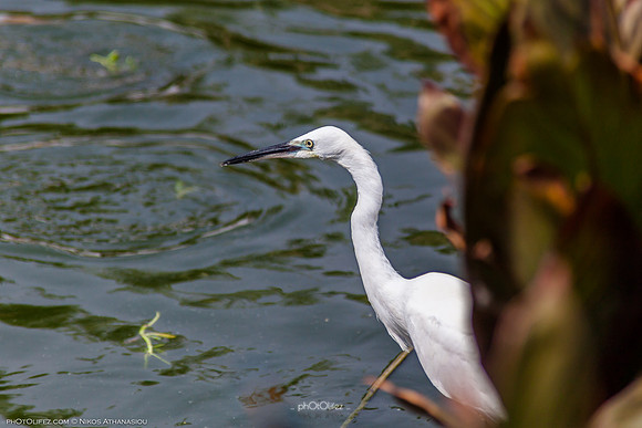 Yanbu Lakes, Saudi Arabia