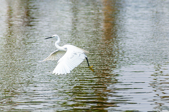Yanbu Lakes, Saudi Arabia