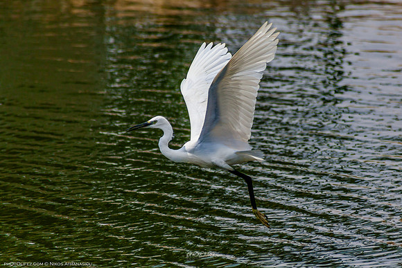 Yanbu Lakes, Saudi Arabia