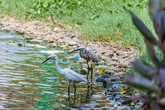 Yanbu Lakes, Saudi Arabia
