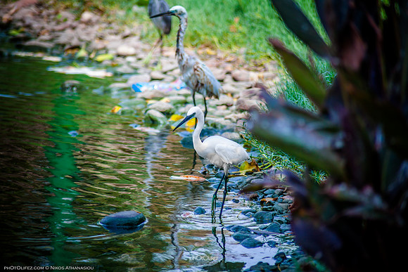 Yanbu Lakes, Saudi Arabia
