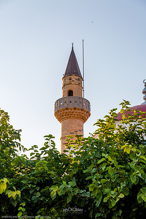 IMG_6505