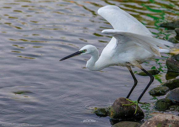 Yanbu Lakes, Saudi Arabia