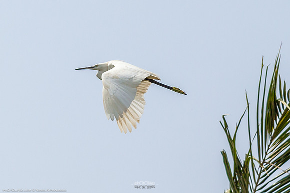 Yanbu Lakes, Saudi Arabia