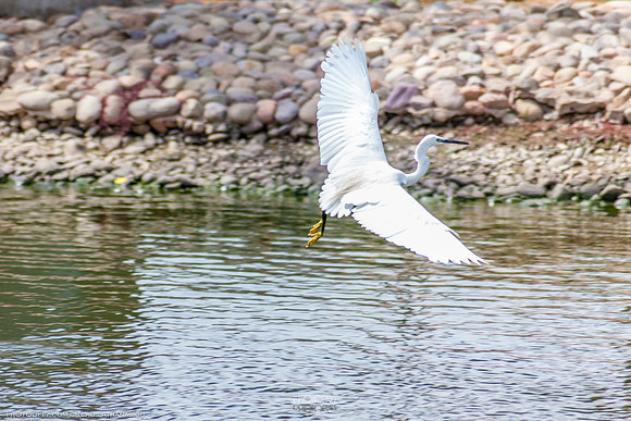 Yanbu Lakes, Saudi Arabia