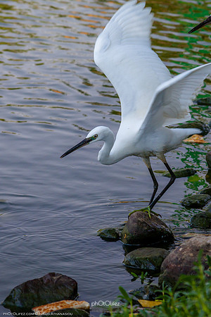 Yanbu Lakes, Saudi Arabia
