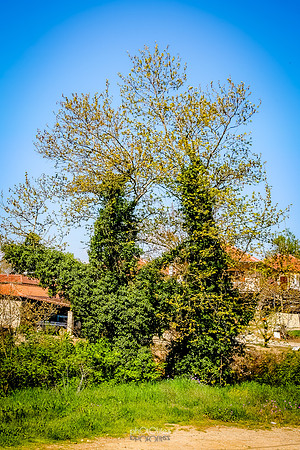 IMG_1838