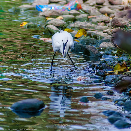 Yanbu Lakes, Saudi Arabia