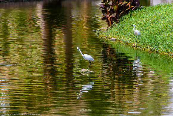 Yanbu Lakes, Saudi Arabia