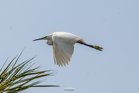 Yanbu Lakes, Saudi Arabia