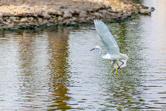 Yanbu Lakes, Saudi Arabia