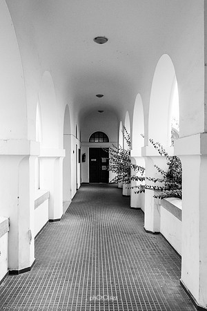 IMG_6594