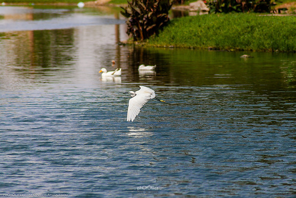 Yanbu Lakes, Saudi Arabia