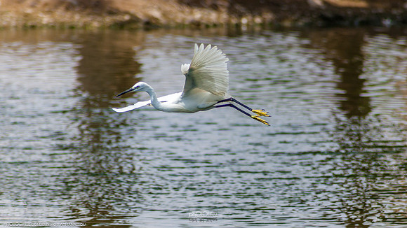 Yanbu Lakes, Saudi Arabia