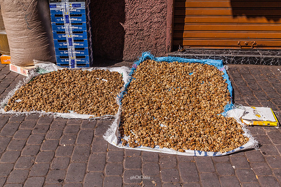 Marrakech
