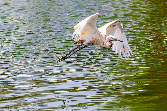 Yanbu Lakes, Saudi Arabia