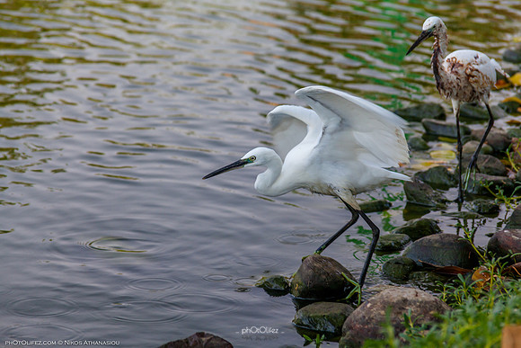 Yanbu Lakes, Saudi Arabia