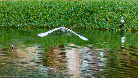 Yanbu Lakes, Saudi Arabia