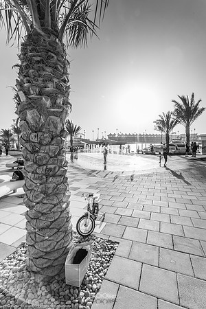 IMG_0281