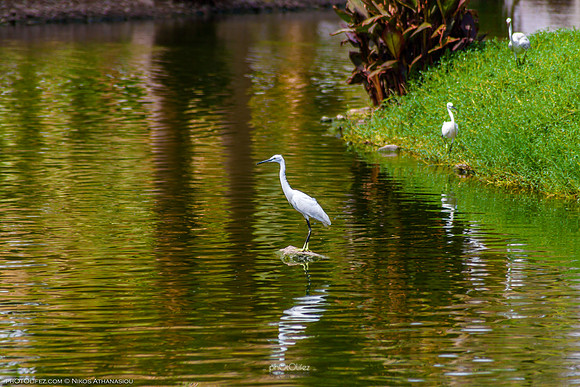 Yanbu Lakes, Saudi Arabia