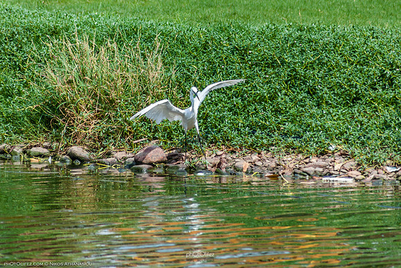 Yanbu Lakes, Saudi Arabia