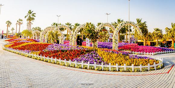IMG_5902-Pano