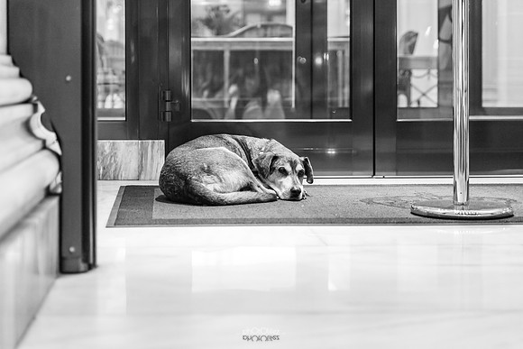IMG_2951