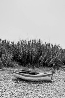 IMG_0125