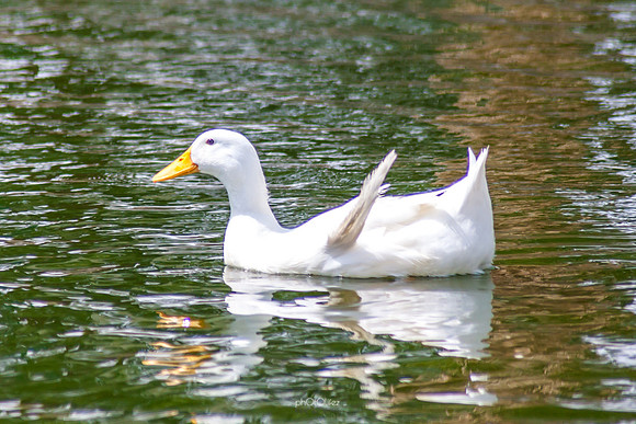 Yanbu Lakes, Saudi Arabia