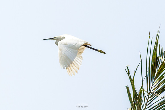 Yanbu Lakes, Saudi Arabia